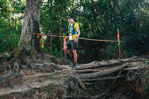 BIB: 
                            <button type="button" onclick="openModal(27754183)" class="btn btn-primary btn-sm float-right btn-popup" data-toggle="modal" data-target=".modal-high-quality">
                        <i class="fas fa-shopping-cart"></i> Add to Cart
                    </button>
                                            <button type="button" onclick="isThisMe(27754183, true)" class="btn btn-success btn-sm float-right btn-popup btn-isme hidden" data-toggle="tooltip" data-placement="bottom" title="นี่คือรูปของคุณใช่ไหม คลิกที่นี่เพื่อเอาเข้าอัลบั้ม">
                        <i class="fas fa-plus"></i> Add to album
                    </button>
                    <button type="button" onclick="isThisMe(27754183, false)" class="btn btn-warning btn-sm float-right btn-popup btn-isnotme hidden">
                        <i class="fas fa-ban"></i> Remove from album
                    </button>